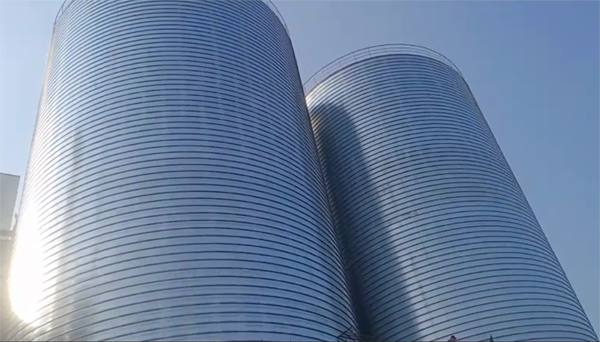 晴隆2座混凝土高架卷板仓